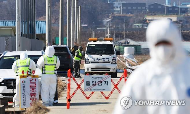 조류인플루엔자 의심 농장 출입 통제 [연합뉴스 자료 사진]