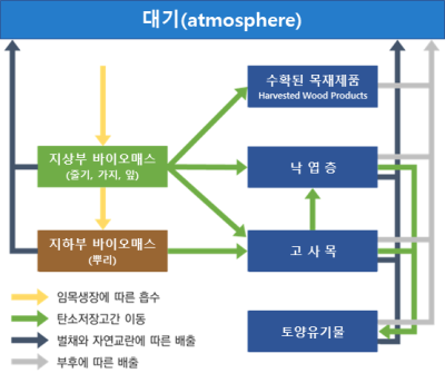 산림의 탄소저장고. 김영환 제공