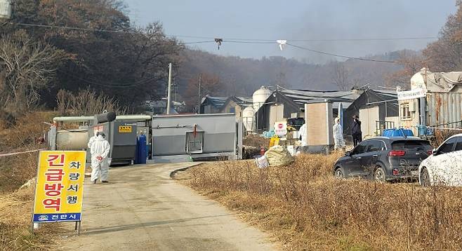 고병원성 AI 의심사례가 발생한 충남 천안의 한 종오리 농가. 독자 제공