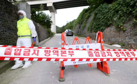 19일 오전 강원 춘천시의 한 양돈농가에서 아프리카돼지열병(ASF)이 발생해 방역 당국 관계자가 입구를 통제하고 있다. 2022.9.19 연합뉴스