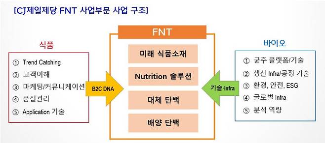 CJ제일제당 FNT사업부문 사업 구조. (사진=CJ제일제당)