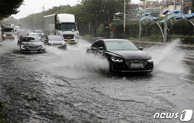 침수된 도로(자료사진)/뉴스1 ⓒ News1