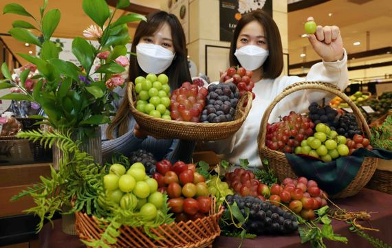 [사진]신세계 "고품질·이색 포도 맛보세요"