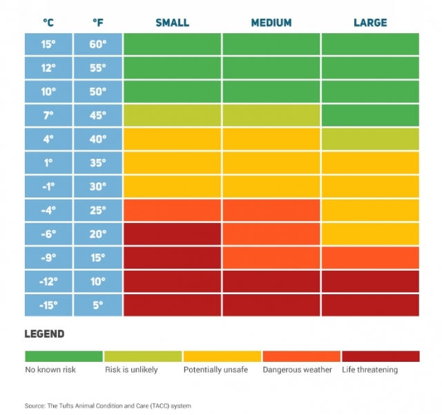 미 메사추세츠의 터프츠(Tufts) 수의학과에서 제시한 개들의 온도 민감성 도표. 주황색부터 건강에 해로우며, 붉은색은 생존을 위협할 수준의 온도이다. 소형견의 경우 영하6도, 중대형견은 영하12도부터 산책을 삼가야 한다. 터프츠 수의과대학