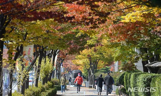 [전주=뉴시스] 김얼 기자 = 전북 전주시 전북도청 앞 인도의 가로수가 붉게 물들어 있다. 2022.10.24. pmkeul@newsis.com