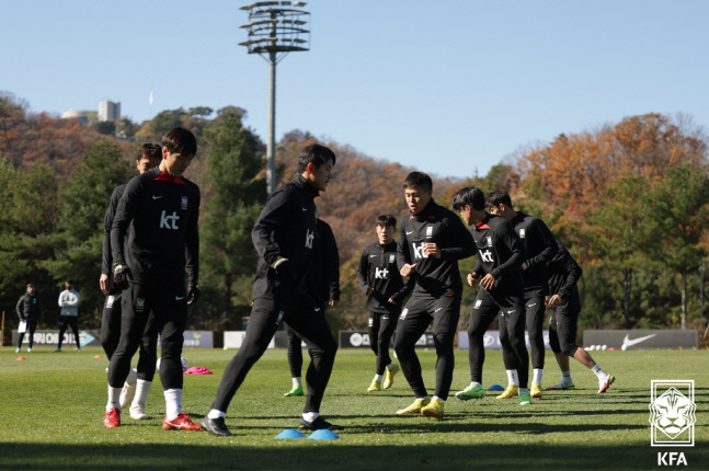 제공 | 대한축구협회