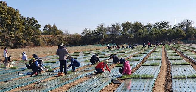 도시농부 [충북도 제공. 재판매 및 DB 금지]