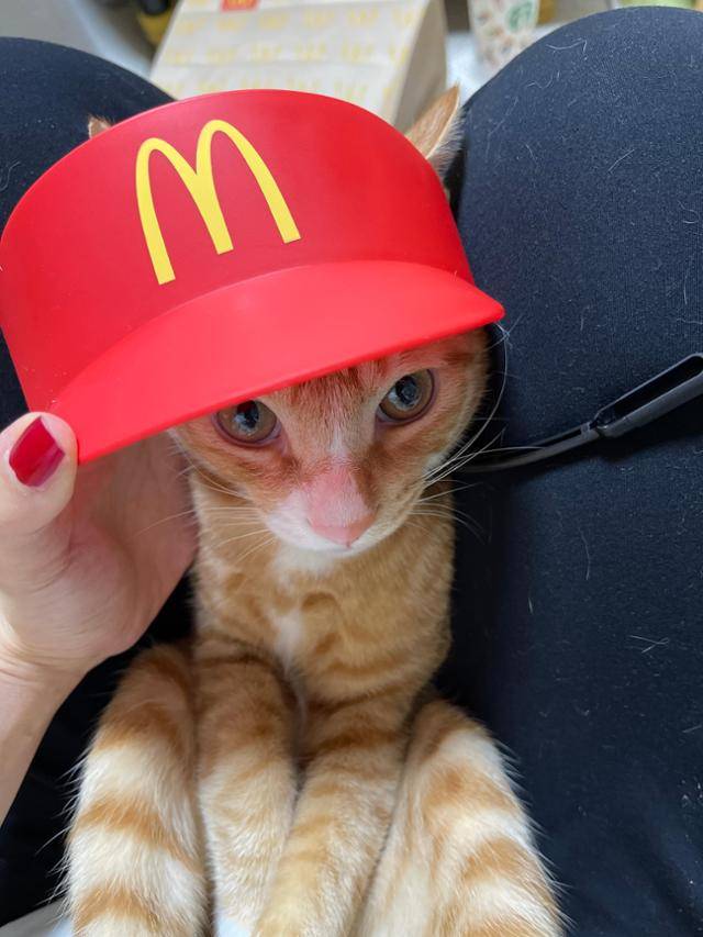 요즘 핫하다는 해피밀 모자! 태오도 써봤지만.. 너무 커요