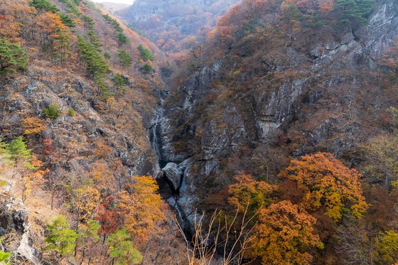 재약산 흑룡폭포. 용을 닮은 거대한 물줄기 주변으로도 단풍이 깊게 배었다.