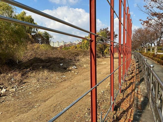 옛 대한방직부지 공장건물 석면철거를 위해 가림판이 조성되는 과정에서 맹꽁이 서식지가 훼손될 우려가 있다는 주장이 제기됐다. 전북환경운동연합 제공