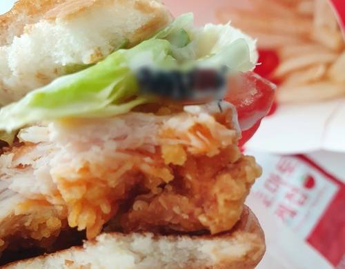 지난 6일 맥도날드 햄버거에서 발견된 이물질은 벌레로 드러났다. 온라인 커뮤니티 캡처