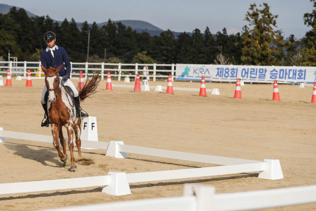 제주 어린말 승마대회 현장