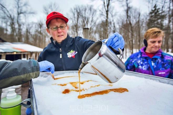 ON - Maple SugarⒸOntario travel