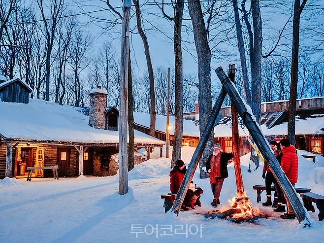 퀘벡 주 메이플 쉑 ©캐나다관광청