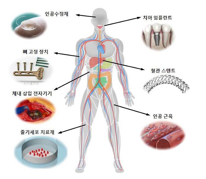 다양한 생체 재료/ KIST 제공