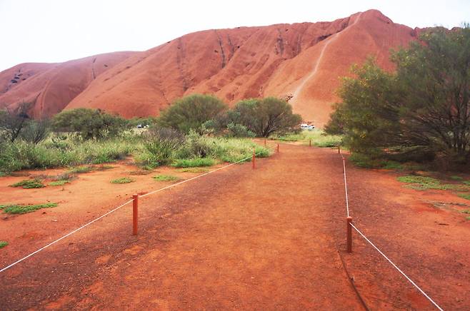 멀리에서도 선명하게 보이는 하얀 선은 울루루에 오르기 위해 사람들이 박아 놓은 쇠 줄이다.
