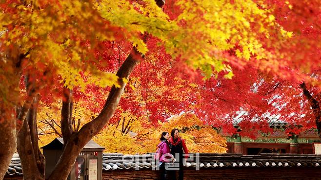 여행] 산사의 가을은 끝자락이 더 화려하더라