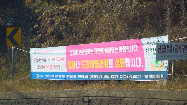 김해 공원묘원 곳곳에 걸려있는 조화근절 현수막. 이세영PD