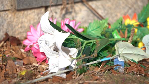 묘원에 버려져있는 플라스틱 조화. 이세영PD