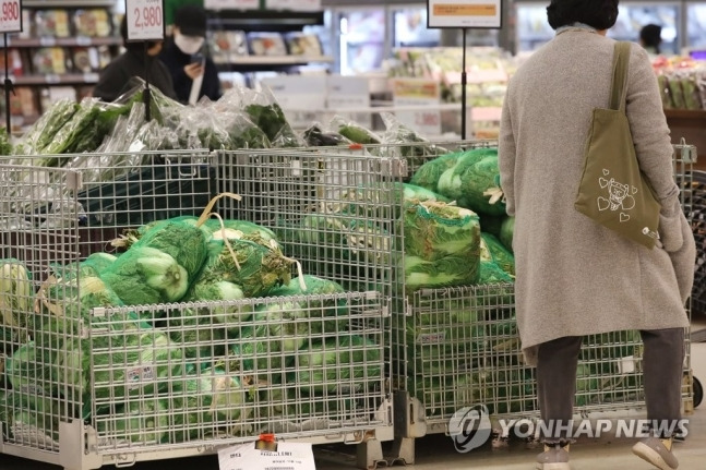 지난 17일 서울 농협 하나로마트에서 한 소비자가 배추를 살펴보고 있다. [사진출처=연합뉴스]