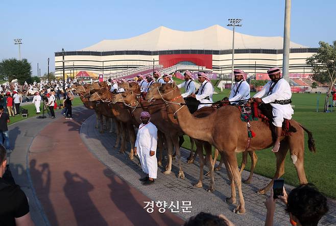 2022 카타르 월드컵 개막일인 20일(현지시간) 카타르와 에콰도르의 경기가 열리는 카타르 알코르 알베이트 경기장 앞에 낙타를 탄 경비대들이 도열해 있다. 알코르|권도현 기자