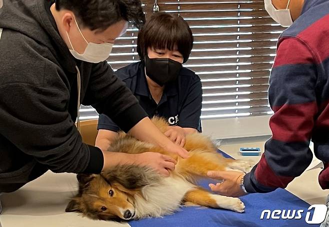 한방수의학 교육기관 치 유니버시티 한국지부가 22일 한방침치료 인증 수의사 과정인 CVA 인증시험을 치렀다고 밝혔다.(치 유니버시티 한국지부 제공) /뉴스1