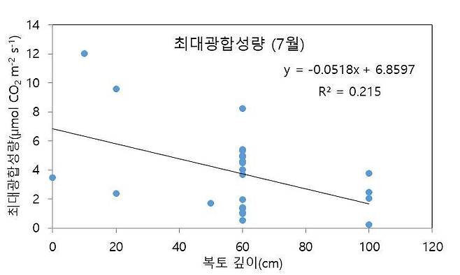 복토 깊이에 따른 광합성량 비교 그래프. (국립문화재연구원 제공)