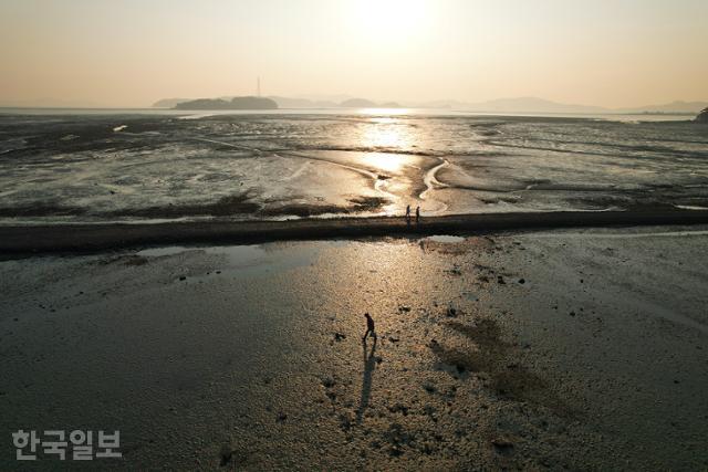 웅도 북측 해안의 바닷길. 물이 빠지면 드러나는 작업로가 그대로 바다 산책로다.