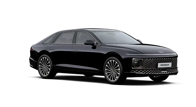 바이오필릭 블루 펄 - 전면