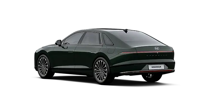 밤부 차콜 그린 펄 - 후면