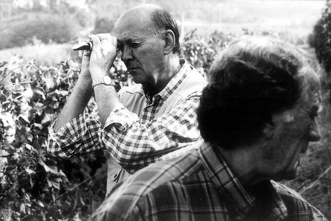 당도를 측정하는 미켈레 끼아를로