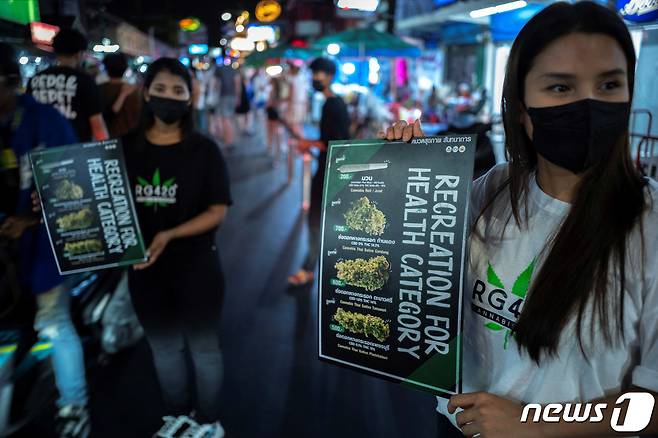 대마 사용이 합법화된 태국에서는, 대마 관련 관광 상품을 만들어서 홍보하고 있다. ⓒ 로이터=뉴스1 ⓒ News1 이서영 기자