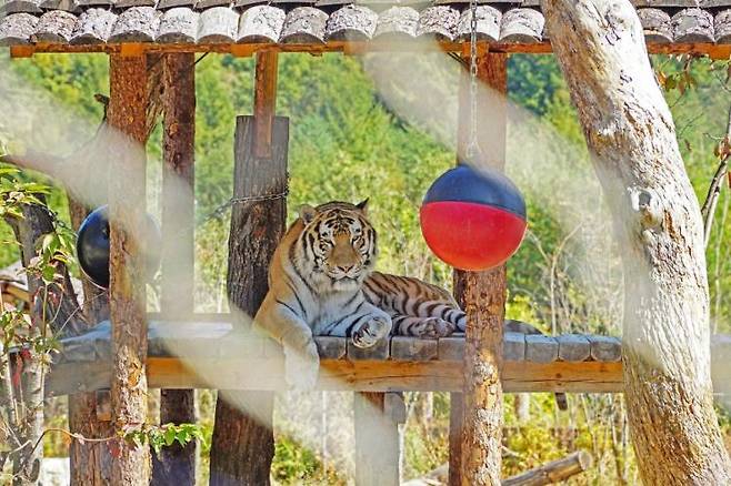 국립백두대간수목원