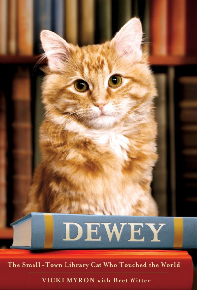1988년부터 2006년까지 미국 아이오와주 스펜서공공도서관에 살면서 ‘명예 사서’ 역할을 했던 고양이 ‘듀이 리드모어 북스(Dewey Readmore Books)’의 모습. 사진은 듀이의 사연을 그려낸 책 <듀이: 세계를 감동시킨 도서관 고양이>의 영문판 표지. Grand Central Publishing