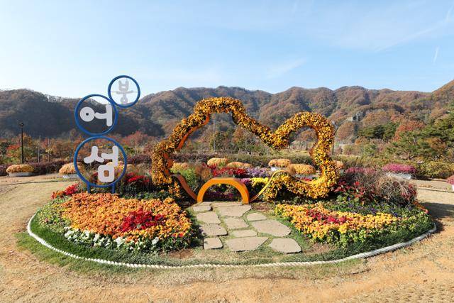 출렁다리 개통과 함께 붕어섬은 공원처럼 꾸며지고 여러 편의시설이 들어섰다. ⓒ박준규