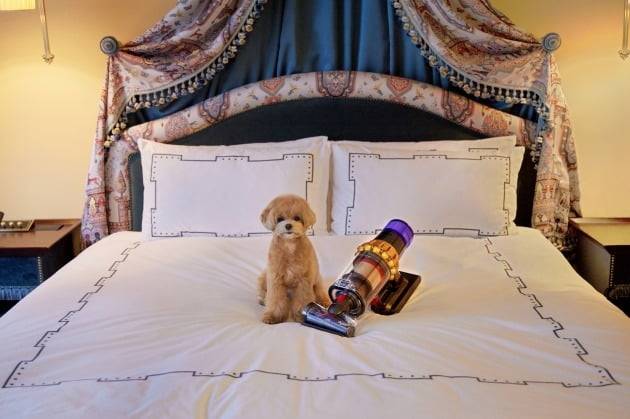 클룩 '펫캉스 레스케이프 호텔'