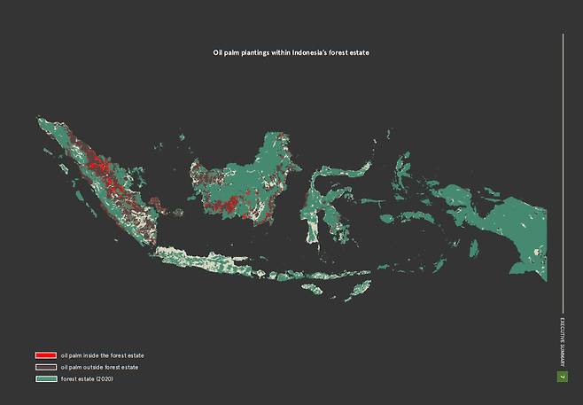 인도네시아의 산림지역 내에 조성된 팜유 농장 현황. [그린피스 제공]