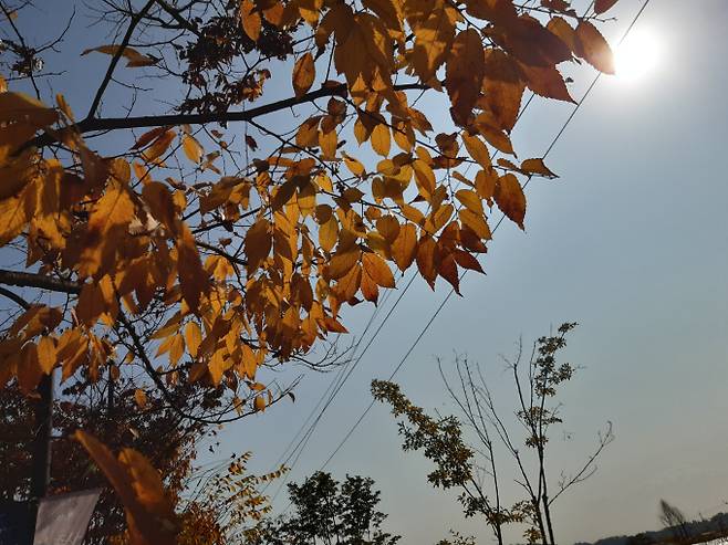 서울,오늘날씨,내일날씨©bntnews&nbsp; &nbsp;