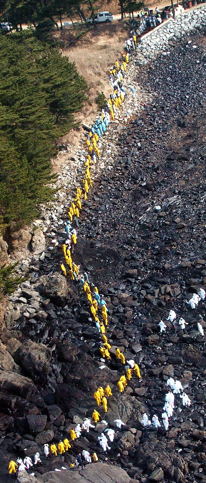 2007년 12월 충남 태안 앞바다에서 기름유출 사고가 발행했을 당시 전국에서 모인 자원봉사자들이 해변의 기름을 제거하는 작업을 진행하고 있다. 충청남도 제공