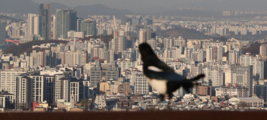 서울 남산에서 내려다 본 아파트 단지들의 모습. 뉴시스