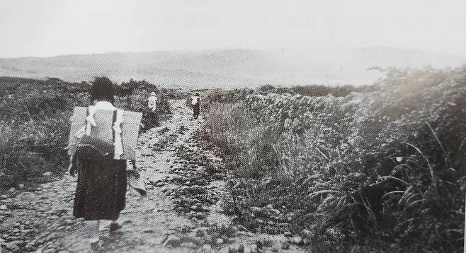 1950년 중반 자갈길이던 5.16도로 (제주도 건설사, 김중근)