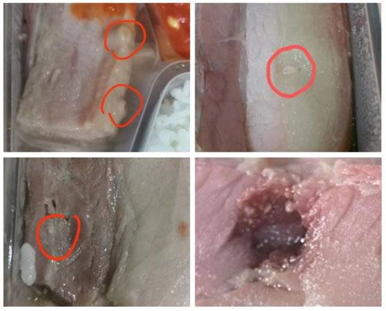 상하이 퉁지대 학생들이 직접 찍어 웨이보에 올린 배급 도시락 속 기생충의 흔적 및 덜 익은 돼지고기 사진. [중국 웨이보 캡처]