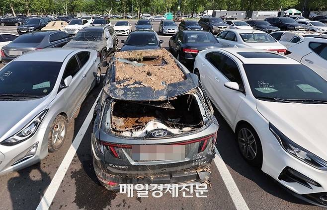 12일 경기 과천시 서울대공원 주차장에 침수 차량이 집결해 있다. 2022.8.12 [한주형기자]