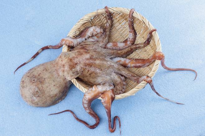 [게티이미지뱅크]