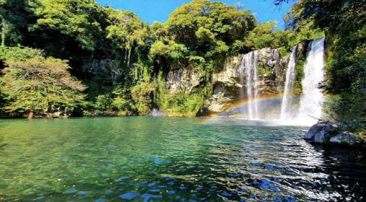 천연기념물 제주 무태장어 서식지(사진=문화재청).