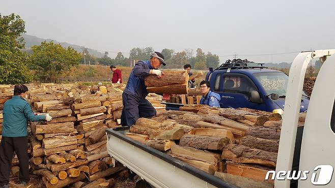 충북 진천군이 산림사업을 추진하면서 수집한 목재를 활용해 난방용 땔감 나누기 사업을 진행한다.(진천군 제공) / 뉴스1