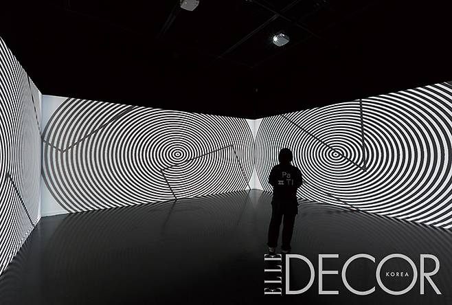 2017년에 서울시립미술관에서 열렸던 〈날개, 파티〉 전의 전경들.