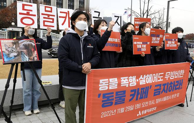 동물자유연대 회원들이 29일 오전 정부서울청사 앞에서 동물 카페를 전면 금지를 촉구하는 기자회견을 하고 있다. 윤운식 선임기자 yws@hani.co.kr