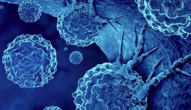 사진은 기사의 특정 사실과 관련 없음. 이미지투데이