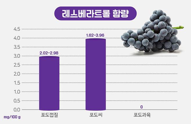 레스베라트롤이 포도 과육에는 전혀 들어 있지 않지만, 포도씨와 포도 껍질에 많이 들어있다. [그래픽=최소연 디자이너]